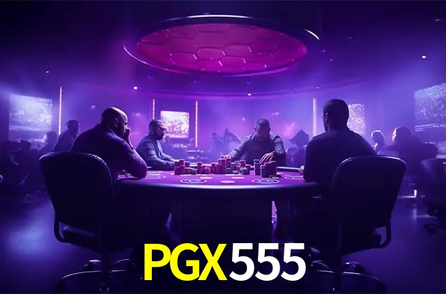 Login Seguro PGX555